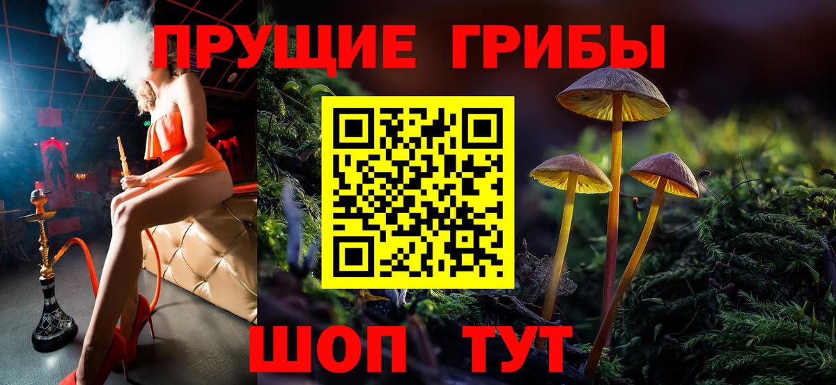 Котовск  Галлюциногенные грибы ЛСД  Вход с VPN 