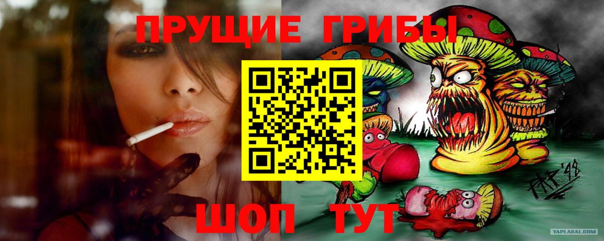 Галлюциногенные грибы MAGIC MUSHROOMS Котовск