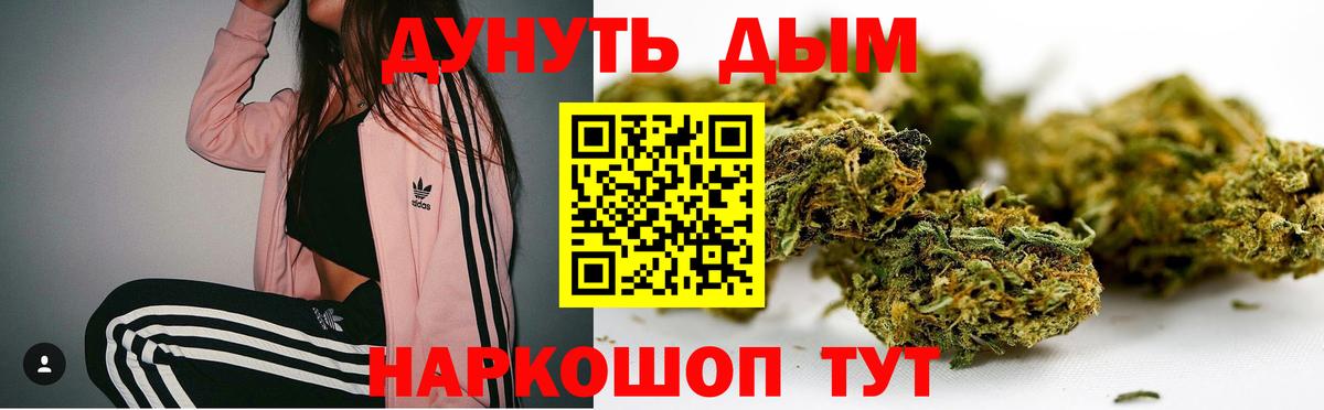 Бошки Шишки план  Вход с VPN  Котовск  Канабис гибрид 